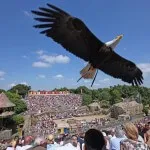 Vendée wunderschöne Greifvogel-Show