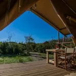 Uitzicht van je safaritent op Camping Capalbio