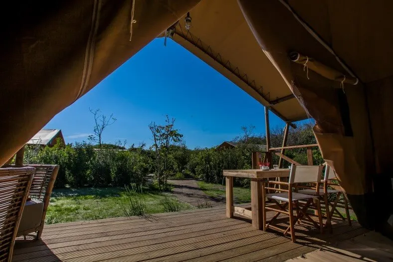 Aussicht von Safarizelt auf Campingplatz Capalbio
