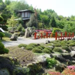 Mareveld - Japanse tuin