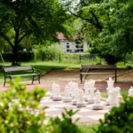 Parc de Witte Vennen - schaakveld