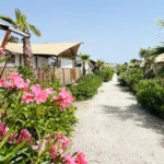 Villa Alwin Beach Resort straatje in de Village bij de receptie